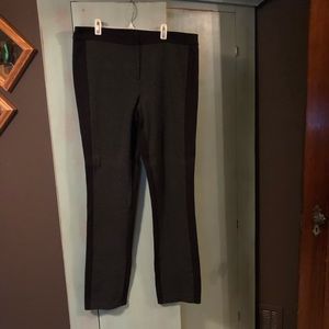 Cute grey and black tuxedo pant